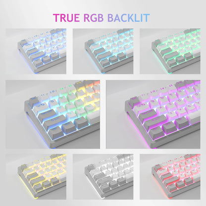 AULA RGB 60 Percent Wired Gaming Keyboard