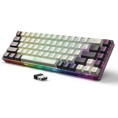 GEODMAER 65% Wireless Gaming Keyboard